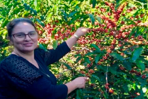 Projeto “Mulheres do Café” valoriza histórias de produtoras em Muniz Freire