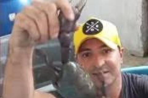 Vídeo de ambulante bombando nas redes mostra ele mergulhando em "banheira" com 600 caranguejos.